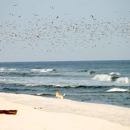 Apartamento White Pearl 3.08 *